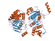 2bbt: Human deltaF508 NBD1 with two solublizing mutations.