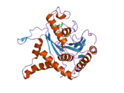 2bc9: Crystal-structure of the N-terminal large GTPase Domain of human Guanylate Binding protein 1 (hGBP1) in complex with non-hydrolysable GTP analogue GppNHp