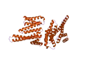 2bq0: 14-3-3 PROTEIN BETA (HUMAN)