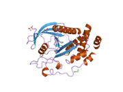 2bzl: CRYSTAL STRUCTURE OF THE HUMAN PROTEIN TYROSINE PHOSPHATASE N14 AT 1.65 A RESOLUTION