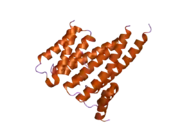 2c23: 14-3-3 PROTEIN BETA (HUMAN) IN COMPLEX WITH EXOENZYME S PEPTIDE