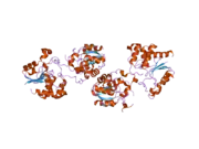 2c46: CRYSTAL STRUCTURE OF THE HUMAN RNA GUANYLYLTRANSFERASE AND 5'-PHOSPHATASE