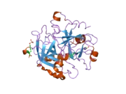 2c8z: THROMBIN INHIBITORS