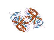 2ceo: THYROXINE-BINDING GLOBULIN COMPLEX WITH THYROXINE