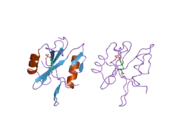 2ci9: NCK1 SH2-DOMAIN IN COMPLEX WITH A DODECAPHOSPHOPEPTIDE FROM EPEC PROTEIN TIR