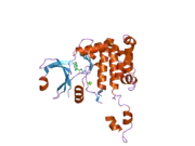 2cn8: CRYSTAL STRUCTURE OF HUMAN CHK2 IN COMPLEX WITH DEBROMOHYMENIALDISINE