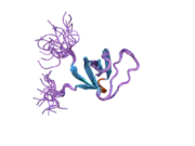 2ct3: Solution Structure of the SH3 domain of the Vinexin protein