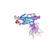 2d8k: Solution structure of the first C2 domain of synaptotagmin VII