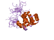 2dbd: Solution structure of the CARD domain in human caspase recruitment domain protein 4 (Nod1 protein)