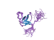 2dbm: Solution structures of the SH3 domain of human SH3-containing GRB2-like protein 2