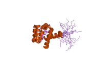 2dk9: Solution structure of Calponin Homology domain of Human MICAL-1