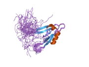 2dmz: Solution structure of the third PDZ domain of human InaD-like protein