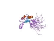 2dnz: Solution structure of the second RNA binding domain of RNA binding motif protein 23