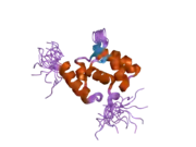 2doa: Solution structure of the helical domain in human Eleven-nineteen lysine-rich leukemia protein ELL