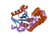 2dos: Structural basis for the recognition of Lys48-linked polyubiquitin chain by the Josephin domain of ataxin-3, a putative deubiquitinating enzyme