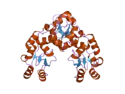 2etx: Crystal Structure of MDC1 Tandem BRCT Domains