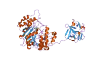 2ffu: Crystal Structure of Human ppGalNAcT-2 complexed with UDP and EA2