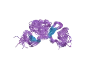 2fyj: NMR Solution structure of calcium-loaded LRP double module