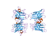 2gbt: C6A/C111A CuZn Superoxide dismutase