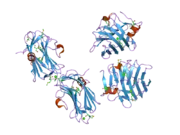 2h0b: Crystal Structure of the second LNS/LG domain from Neurexin 1 alpha