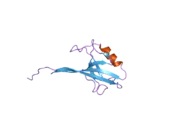 2h2c: Crystal Structure of ZO-1 PDZ1 Bound to a Phage-Derived Ligand (WRRTTWV)