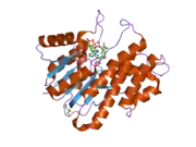 2hrb: Crystal Structure of human Carbonyl Reductase 3, complexed with NADP+