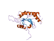 2hrf: Solution Structure of Cu(I) P174L HSco1