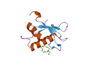 2hzc: Crystal structure of the N-terminal RRM of the U2AF large subunit