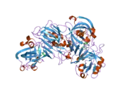 2iku: Crystal Structure of Human Renin Complexed with Inhibitors