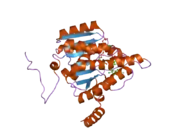 2ilt: Human 11-beta-Hydroxysteroid Dehydrogenase (HSD1) with NADP and Adamantane Sulfone Inhibitor