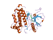 2itt: CRYSTAL STRUCTURE OF EGFR KINASE DOMAIN L858R MUTATION IN COMPLEX WITH AEE788