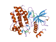 2ivu: CRYSTAL STRUCTURE OF PHOSPHORYLATED RET TYROSINE KINASE DOMAIN COMPLEXED WITH THE INHIBITOR ZD6474