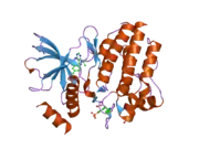 2ivv: CRYSTAL STRUCTURE OF PHOSPHORYLATED RET TYROSINE KINASE DOMAIN COMPLEXED WITH THE INHIBITOR PP1