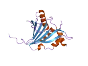 2jgc: STRUCTURE OF THE HUMAN EIF4E HOMOLOGOUS PROTEIN, 4EHP WITHOUT LIGAND BOUND