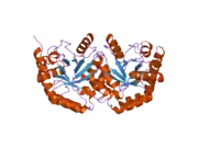 2jgy: THE CRYSTAL STRUCTURE OF HUMAN OROTIDINE-5'-DECARBOXYLASE DOMAIN OF HUMAN URIDINE MONOPHOSPHATE SYNTHETASE (UMPS)