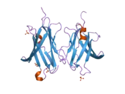 2jhw: CRYSTAL STRUCTURE OF RHOGDI E155A, E157A MUTANT