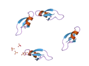 2nlb: Human beta-defensin-1 (Mutant Asn4Ala)