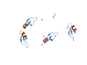 2nlp: Human beta-defensin-1 (Mutant Gln24Glu)