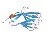 2nms: The Crystal Structure of the Extracellular Domain of the Inhibitor Receptor Expressed on Myeloid Cells IREM-1