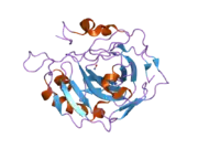 2nwo: Structural and kinetic effect of hydrophobic mutations in the active site of human carbonic anhydrase II