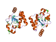 2ogb: Crystal structure of the C-terminal domain of mouse Nrdp1