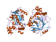 2os2: Crystal structure of JMJD2A complexed with histone H3 peptide trimethylated at Lys36