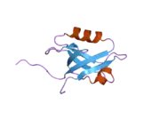 2ozf: The crystal structure of the 2nd PDZ domain of the human NHERF-1 (SLC9A3R1)