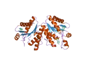 2pez: Crystal structure of deletion mutant of APS-kinase domain of human PAPS-synthetase 1 in complex with cyclic PAPS and dADP