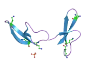 2pm5: Human alpha-defensin 1 derivative (HNP1)