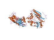 2v9y: HUMAN AMINOIMIDAZOLE RIBONUCLEOTIDE SYNTHETASE