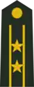 Lieutenant Colonel