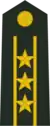 Colonel