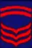 Police Senior master sergeant (P/SMSg)Philippine National Police