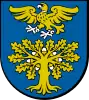 Coat of arms of Sokołów Małopolski